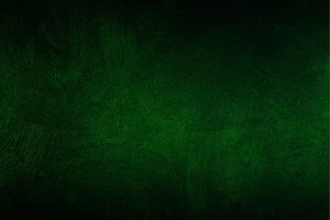 Meet your Posher, Bri